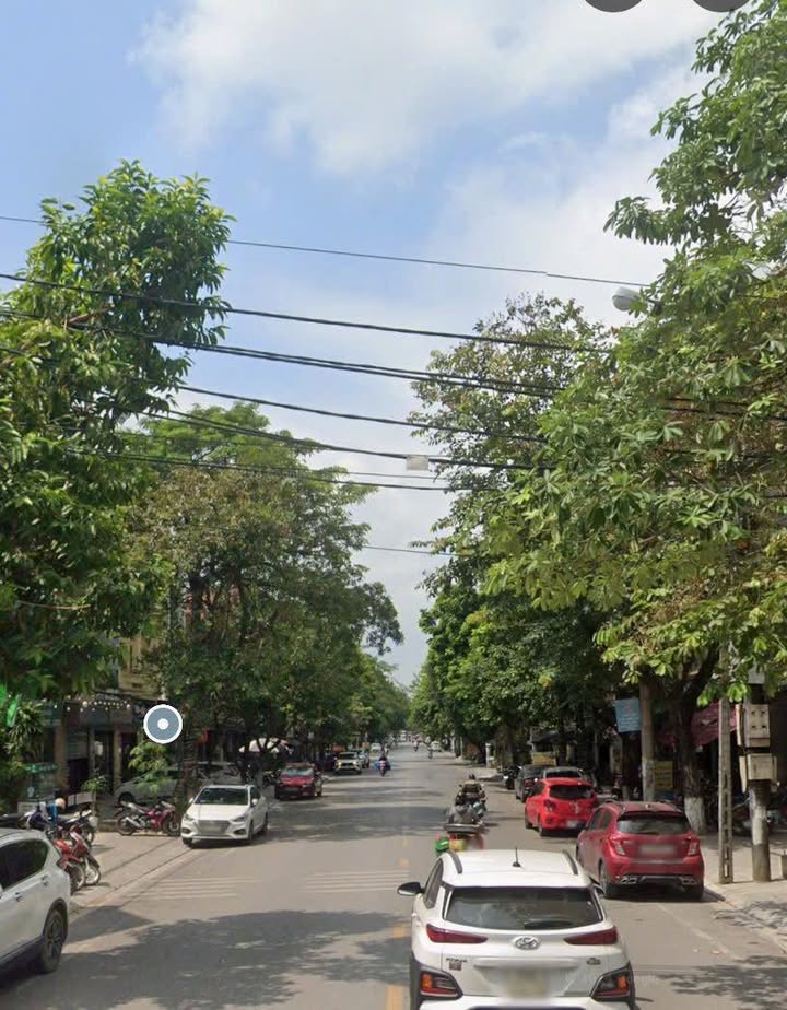 Đất nền trục chính Hồ Ngọc Lân 81m² - Kinh doanh sầm uất, giá thỏa thuận!