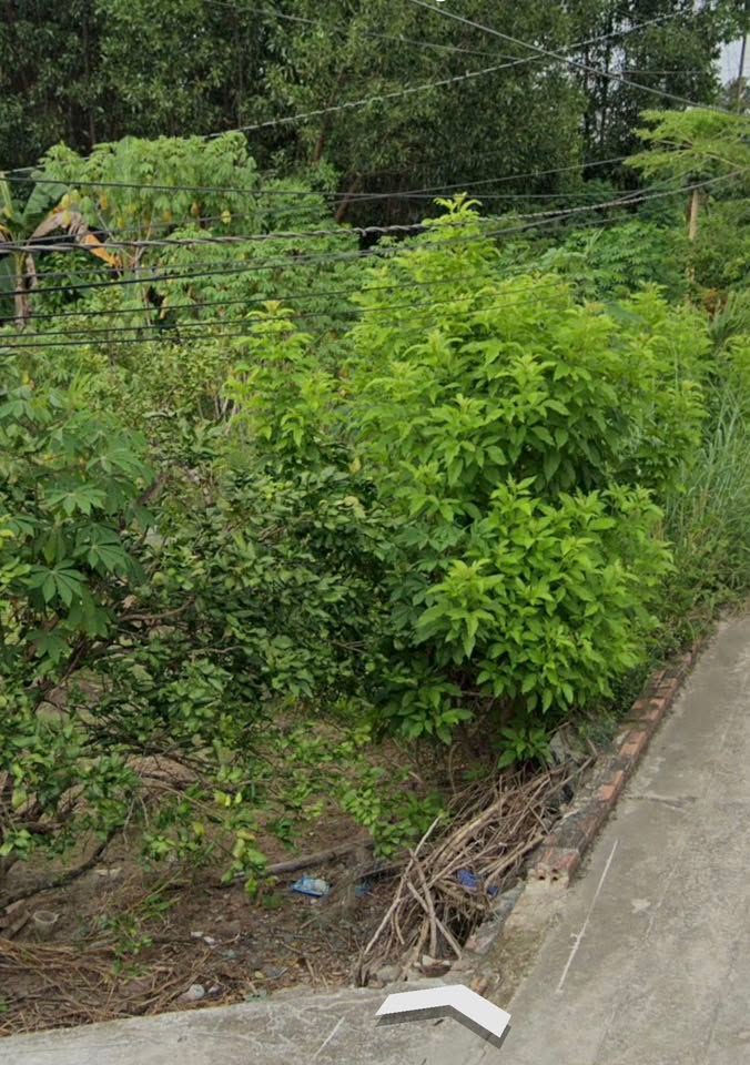 Đất nền đầu tư tại xã Phước An, Nhơn Trạch 610m² giá 4 tỷ - Cơ hội vàng cho nhà đầu tư!