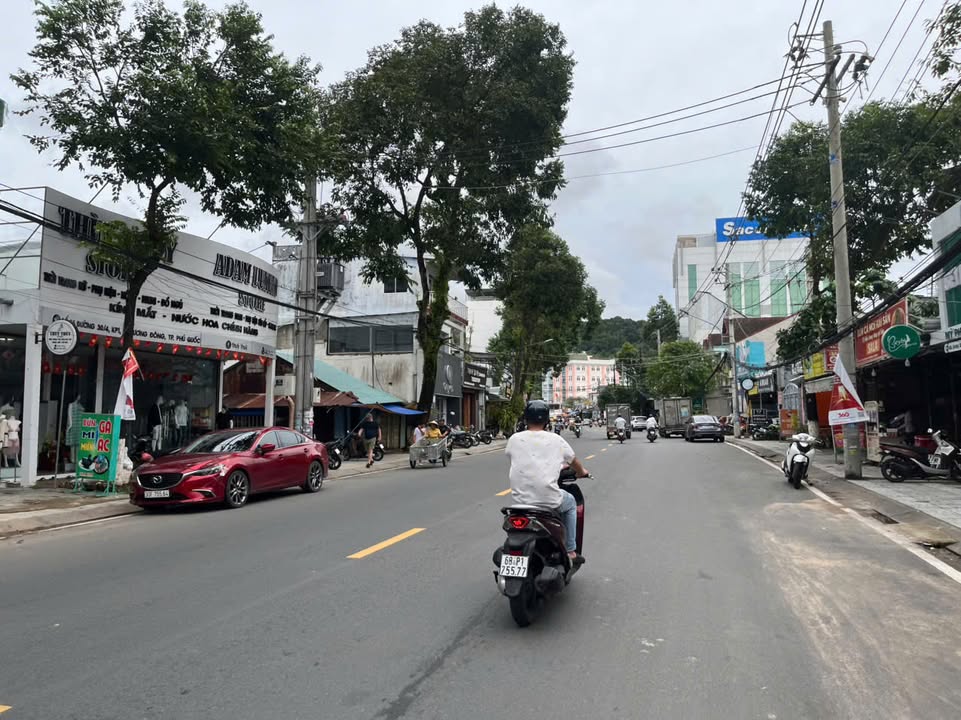 Đất thổ cư 125m² Dương Đông, Phú Quốc chỉ 1 tỷ - Đầu tư sinh lời ngay!