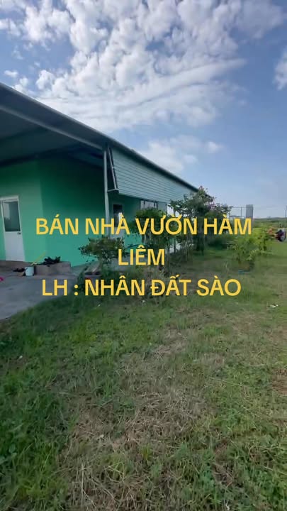 Nhà vườn Hàm Liêm, Bình Thuận 1600m² - Bán gấp, sổ đỏ chính chủ!
