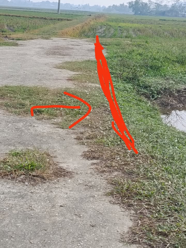 Đất thổ cư Quảng Văn 200m² giá 300 triệu - Đường rộng ô tô vào tận nơi!