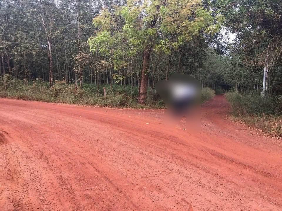 Đất nền 5,2 hecta tại xã Minh Hòa, huyện Dầu Tiếng - Giá chỉ 800 triệu/m², cơ hội đầu tư vàng!