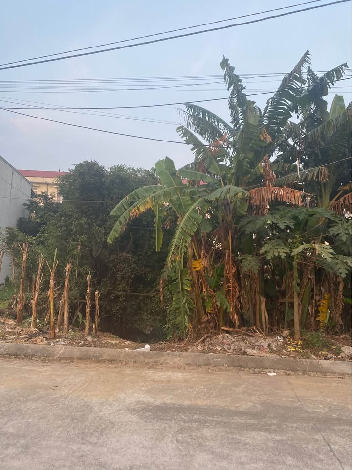 Đất Ninh Phúc 114m² giá thỏa thuận - Khu dân cư an ninh tốt!