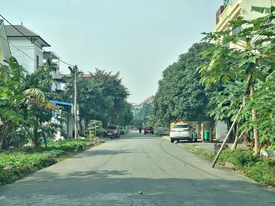 Đất kinh doanh mặt đường Lê Thái Tổ Ninh Bình 324m² - Vị trí vàng cho đầu tư!