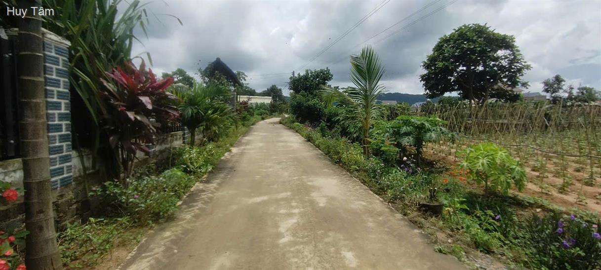 Đất nền Quảng Lập Đơn Dương 2698m² giá 2.7 tỷ - Cơ hội đầu tư không thể bỏ lỡ!