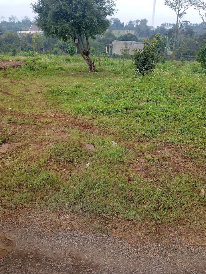 Đất nền Cư Né, Krông Búk 2750m² giá 5.775 tỷ - Vị trí đắc địa 2 mặt tiền!