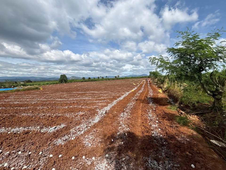 Đất 9,5 sào Tân Hội Đức Trọng giá 4,6 tỷ - Đầu tư sinh lời tuyệt vời!