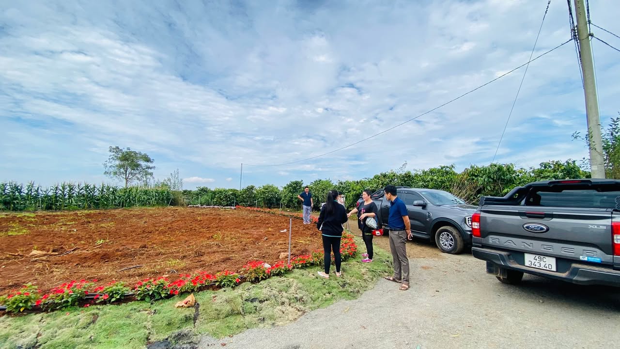 Đất nền Tân Hội, Đức Trọng 147m² - Pháp lý rõ ràng, giá thỏa thuận!