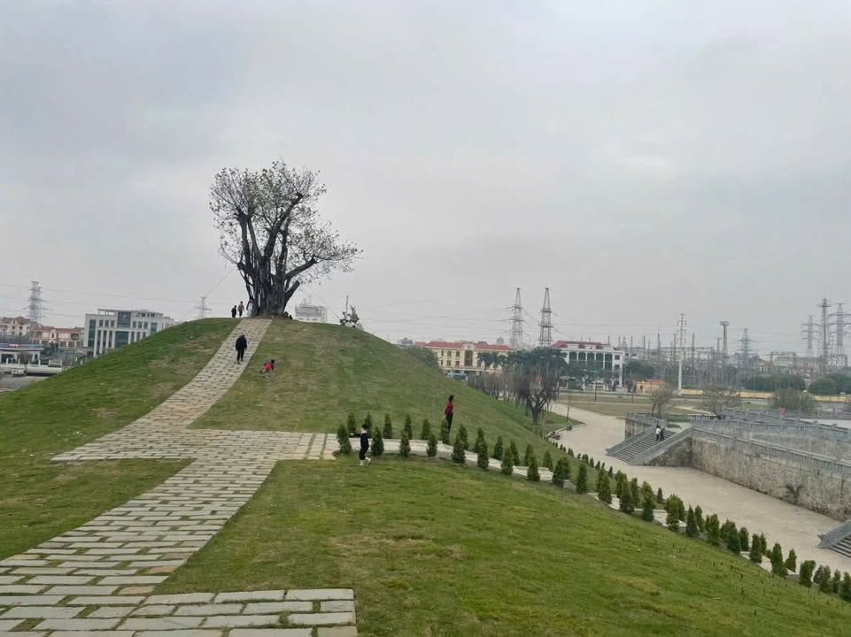 Đất mặt tiền Trần Hưng Đạo, Ninh Khánh 155m² - Cơ hội đầu tư hiếm có!