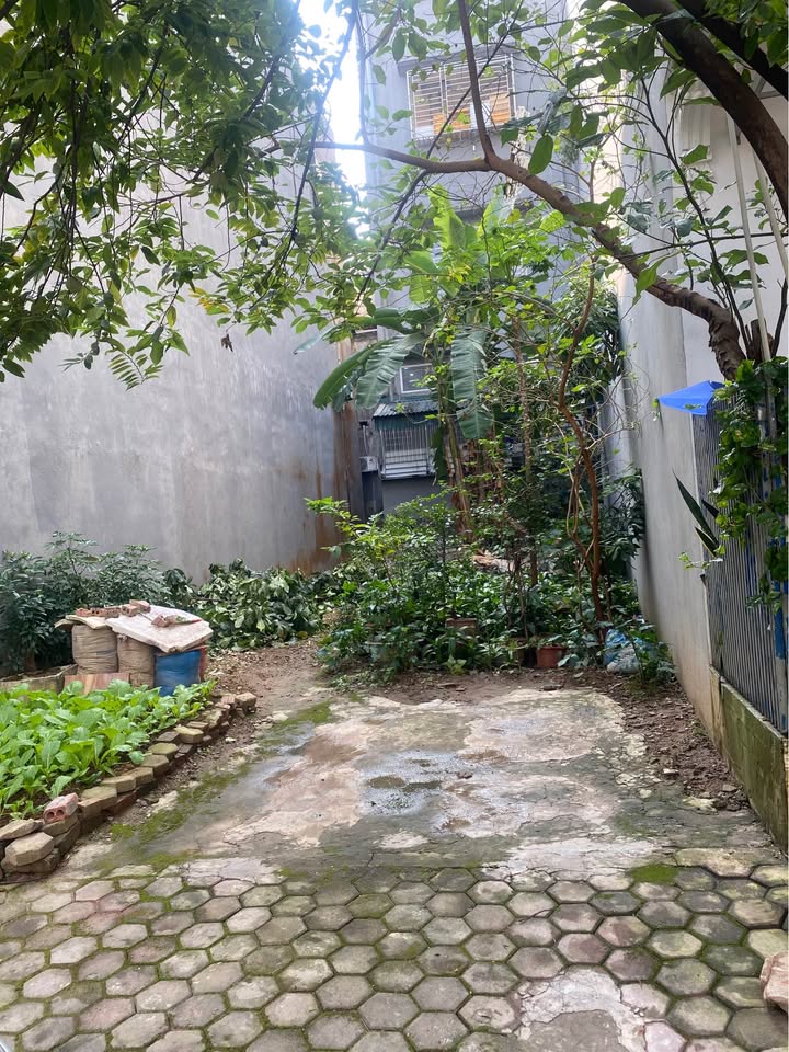 Đất nền đẹp tại Tân Dân, Việt Trì 71,5m² - Vị trí trung tâm, tiện ích đầy đủ!