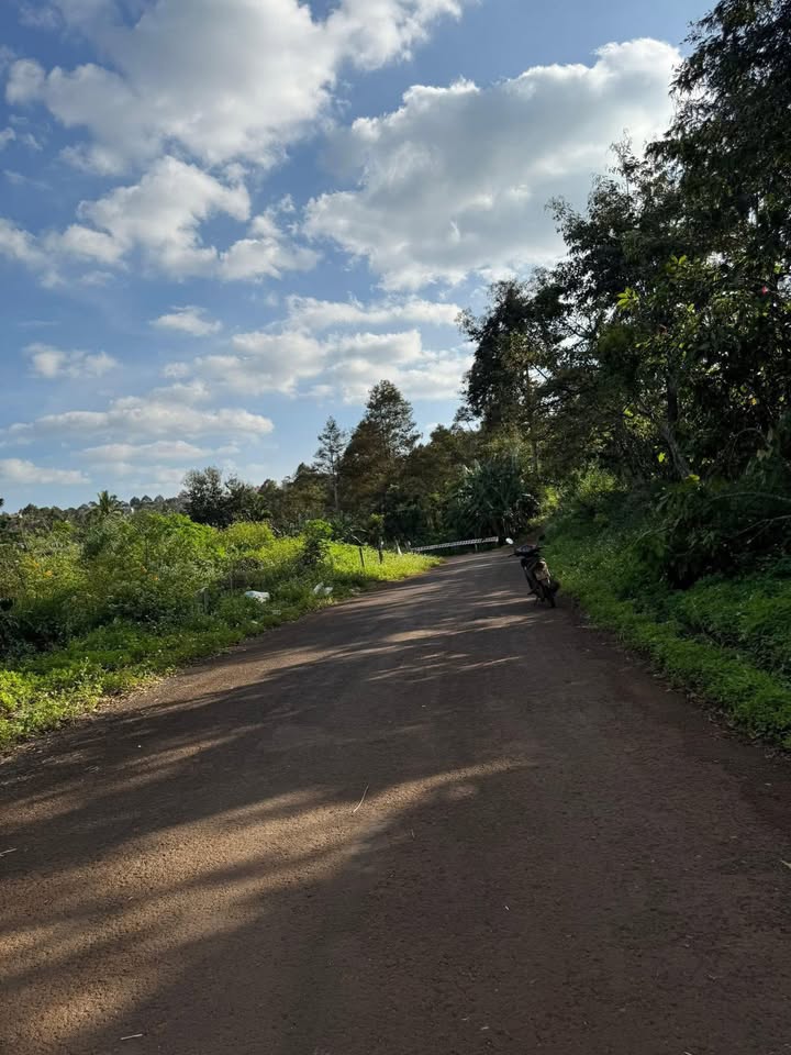 Đất nền Đắk Mil 270m² giá chỉ 3.375 tỷ - Tiềm năng đầu tư cao!