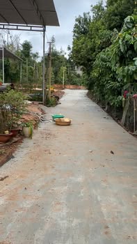 Đất nền Đắk Mil 300m² giá 839 triệu - Gần chợ, tiện ích đầy đủ!