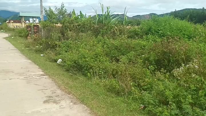 Đất nền 400m² xã Canh Hòa huyện Vân Canh - Sổ hồng chính chủ, giá thỏa thuận!