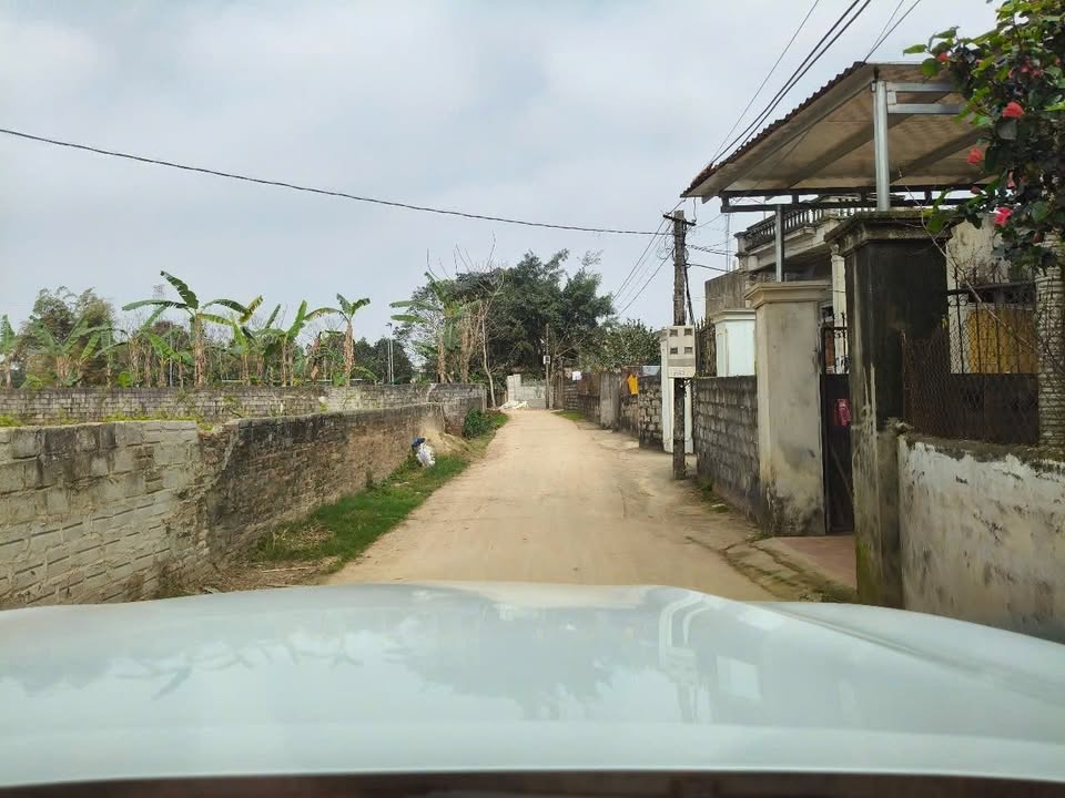 Đất nền Thọ Dân Triệu Sơn 270m² - Cơ hội đầu tư hiếm có!