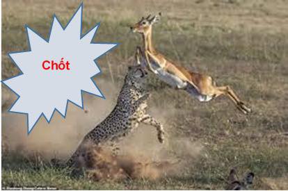 Đất thổ cư Dương Liễu, Hoài Đức 90m² - Mặt tiền 8m, ô tô vào tận nơi!