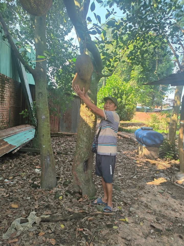 Đất vườn 670m² tại Thới Tam Thôn, Hóc Môn - Sổ đỏ chính chủ, giá 2.35 tỷ!