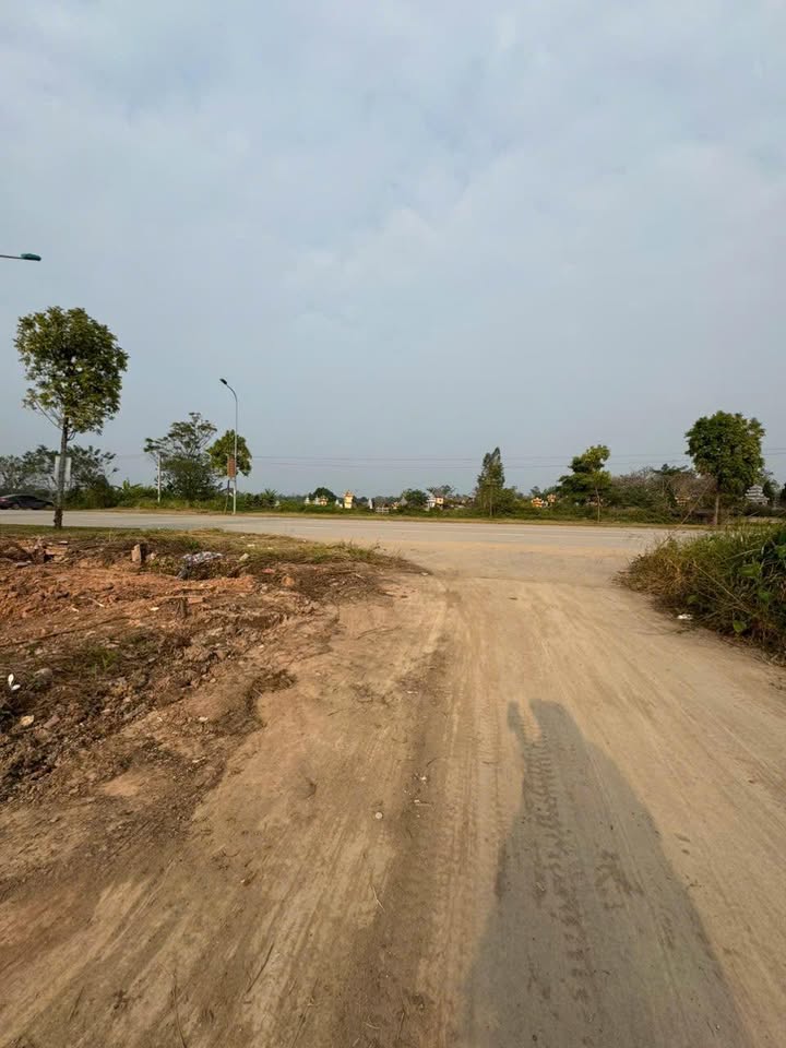 Đất nền 83m² Thanh Miếu - Giá chỉ 4 tỷ - Đường thông ô tô tránh nhau