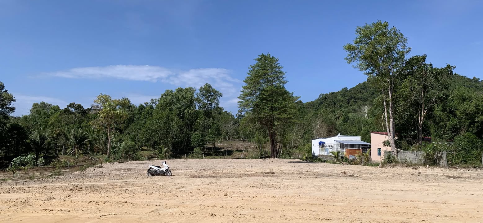 Đất nền Suối Tiên, Phú Quốc 1800m² giá 2 tỷ - Cơ hội đầu tư tuyệt vời!