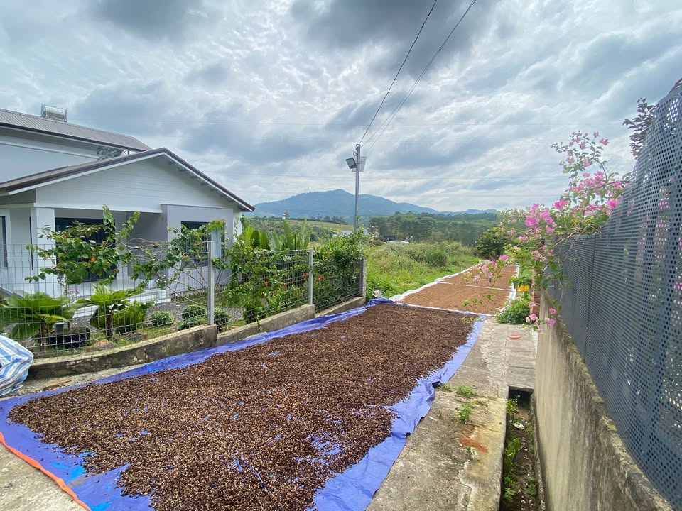 Đất nền 2 mặt tiền Hẻm 41 Đinh Công Tráng, Bảo Lộc 250m² giá 1.35 tỷ - Đường ô tô, view thoáng