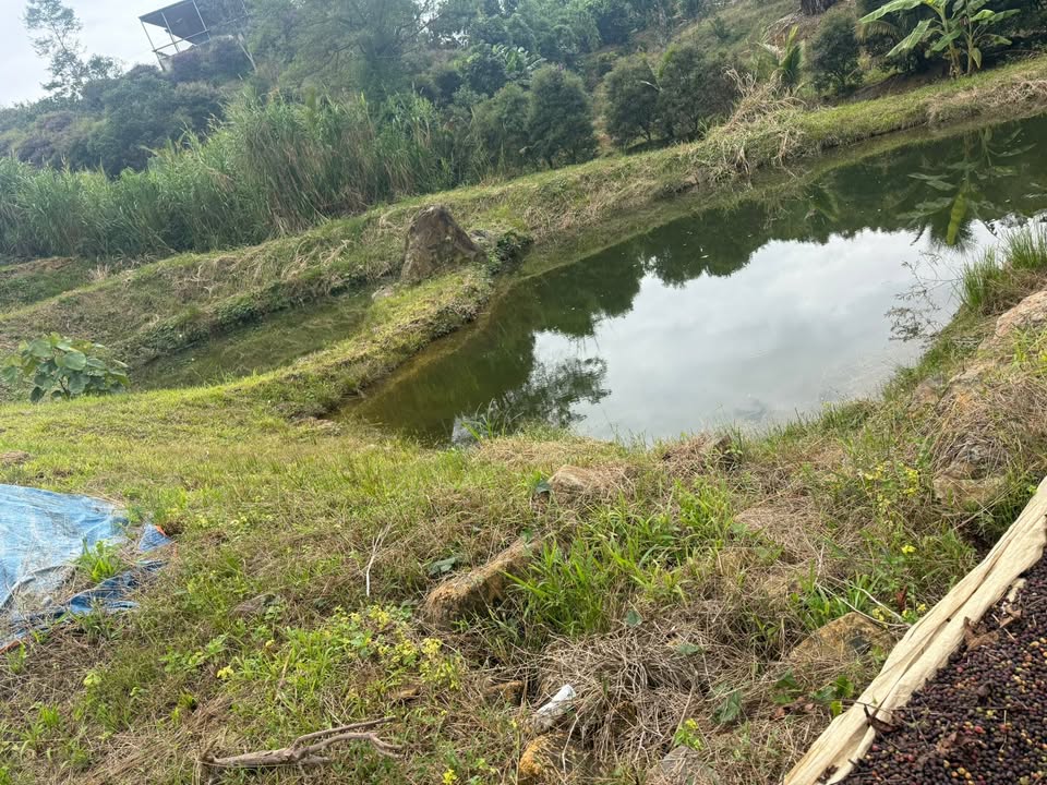 Đất thổ cư Lộc Thành 7000m² giá 3.2 tỷ - Tiềm năng đầu tư lớn!