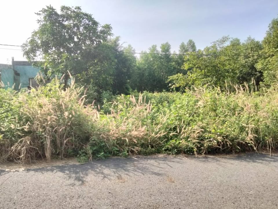 Đất nền 500m² đường số 10 Tóc Tiên, Phú Mỹ - Giá chỉ 1.23 tỷ!