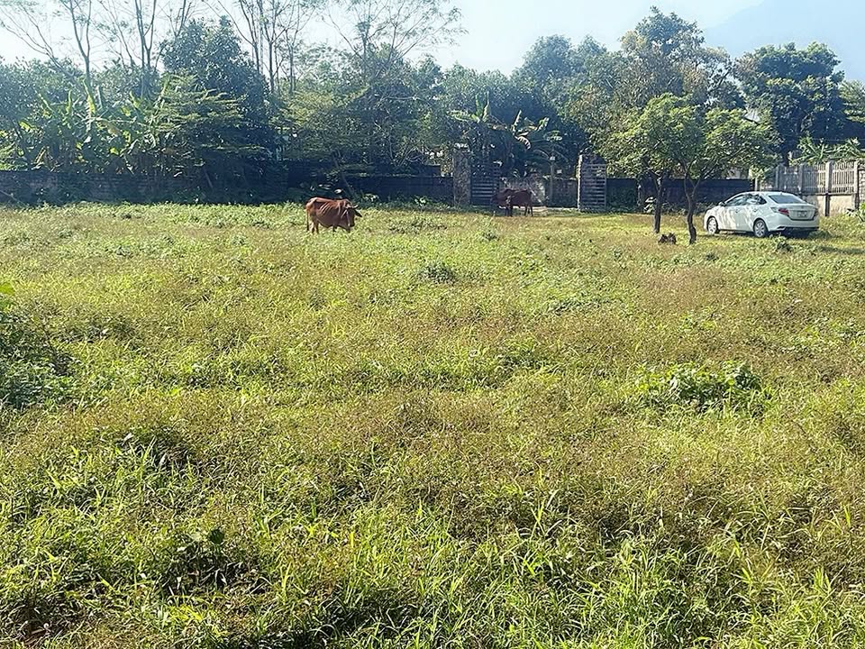 Đất nền Vân Hòa Ba Vì 2727m² giá 13.635 tỷ - Cơ hội đầu tư hấp dẫn!