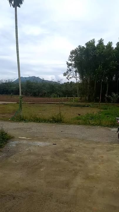 Lô đất Hòa Phước, Hòa Phú, Đà Nẵng 199m² giá chỉ 700 triệu - Cơ hội đầu tư tuyệt vời!