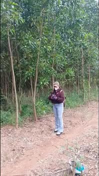 Đất nền Suối Rao Châu Đức 1,1 mẫu giá chỉ 400 triệu - Cơ hội đầu tư hấp dẫn!