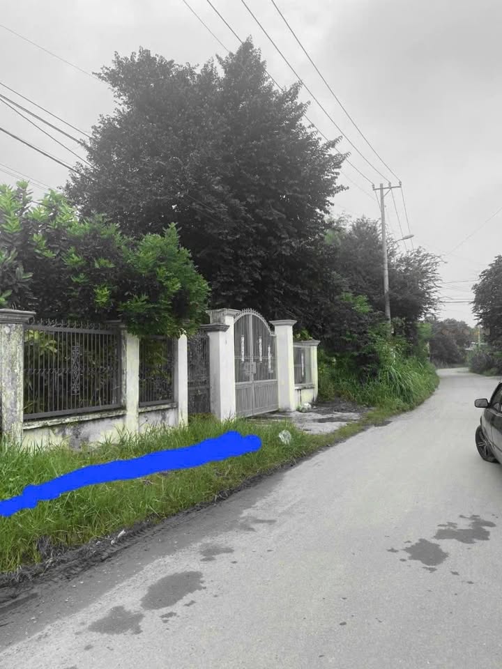 Đất mặt tiền đường nhựa 122, xã Tân Thạnh Đông, 192m² giá 3.5 tỷ - Cơ hội đầu tư tốt!