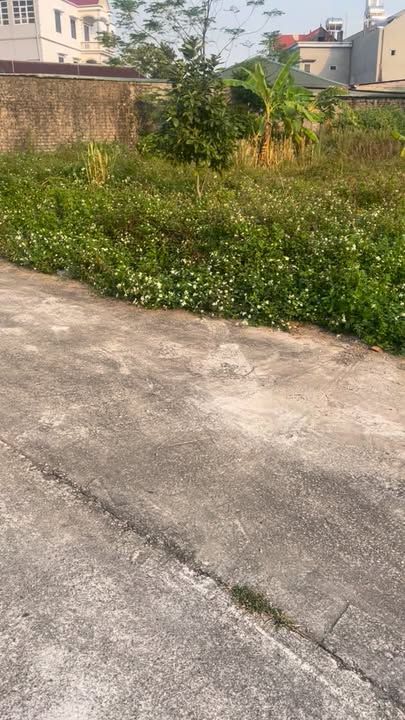 Đất nền Hương Mai Thượng, Việt Yên 163m² giá 1.1 tỷ - Đối diện nhà văn hóa!