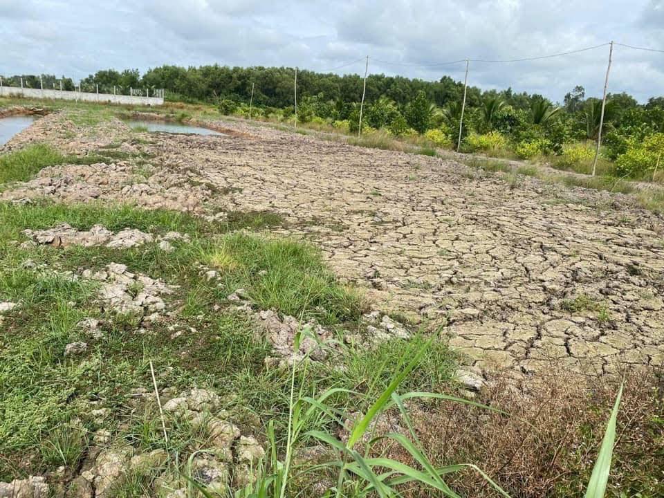 Đất nền 2.000m² tại ấp 3, xã Tân Lập 1, Huyện Tân Phước - Giá tốt, sổ đỏ chính chủ!