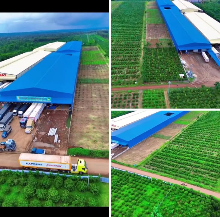 Nhà máy tại Đắk Lắk 16.660m² giá 115 tỷ - Chính chủ bán gấp!