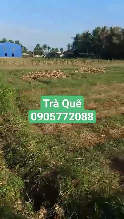 Đất trồng cây hàng năm tại Hoài Phú 400m² giá chỉ 100 triệu - Mặt tiền thuận lợi!