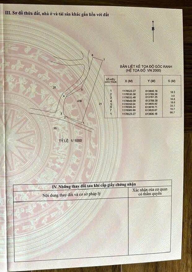 Đất nền Cần Giờ 1.036m² giá 1.37 tỷ - Sổ đỏ chính chủ, đầu tư sinh lời!