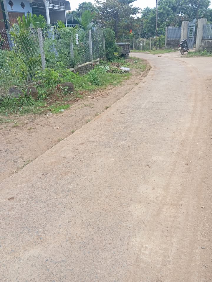 Đất nền 300m² thôn 6, xã Nam Dong, giá 1.35 tỷ - Pháp lý rõ ràng