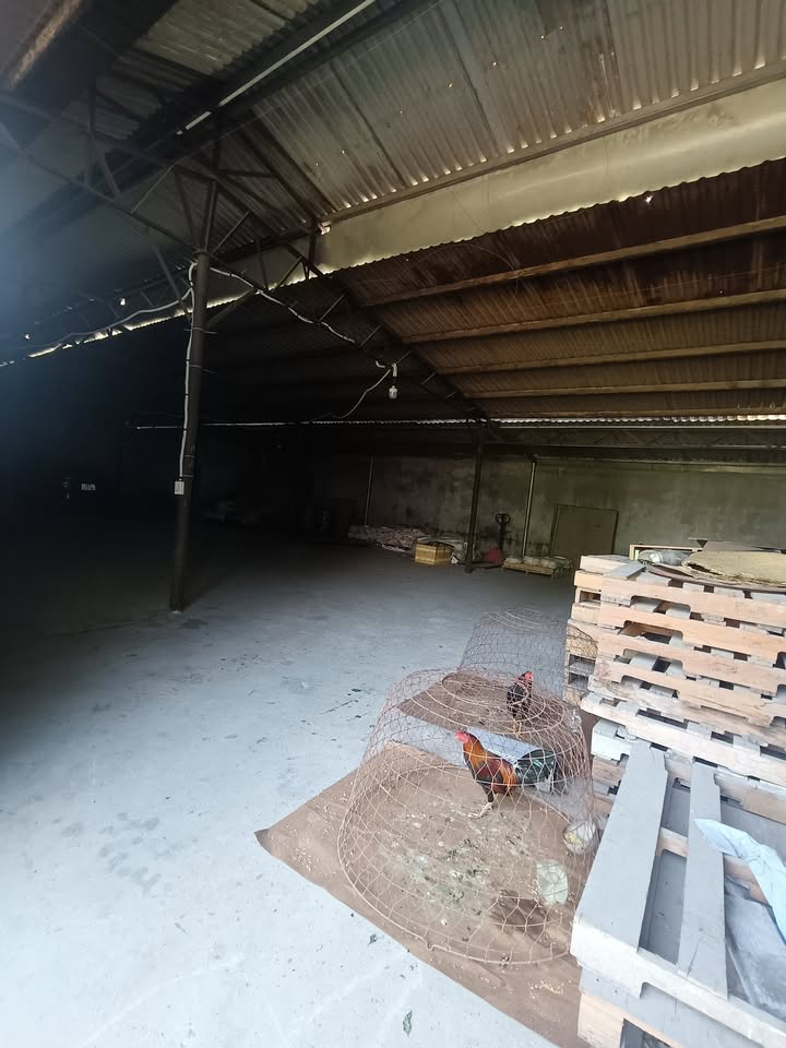 Kho cho thuê tại Dĩ An 250m² giá 15 triệu - Phù hợp sản xuất nhẹ!