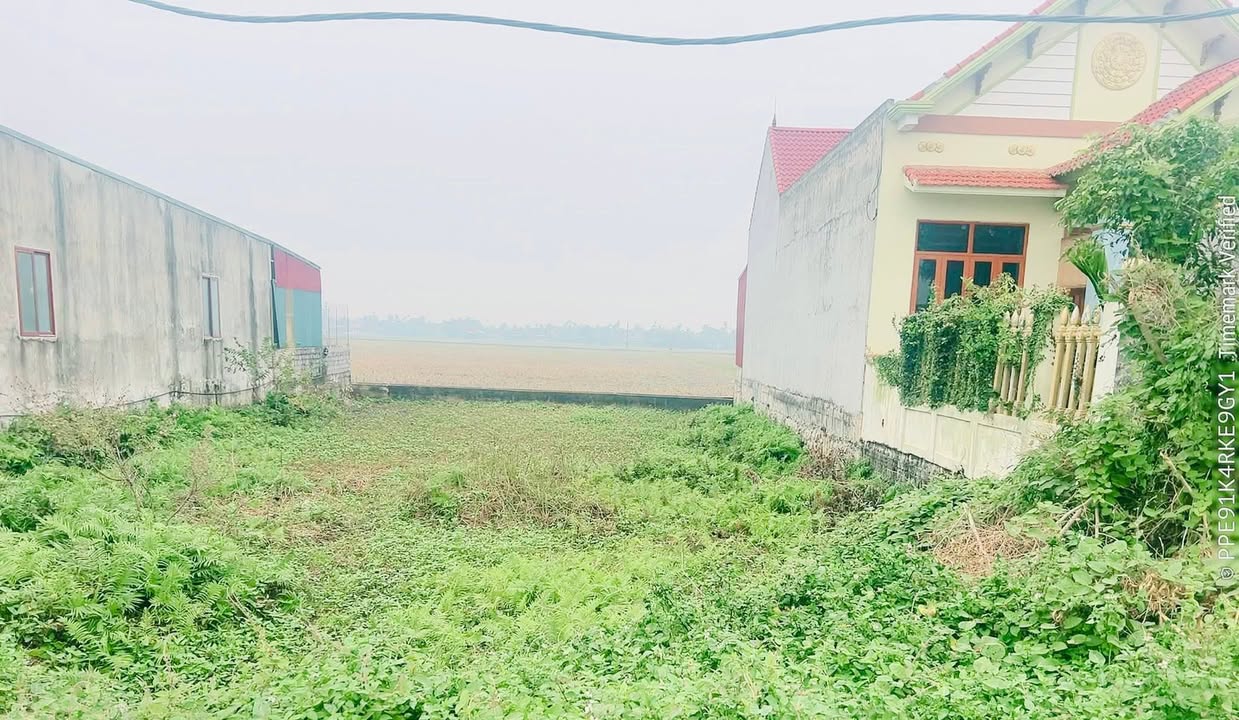 Đất thổ cư 175m² tại thôn Thạch Lãng, Nông Cống - Bán gấp chính chủ!