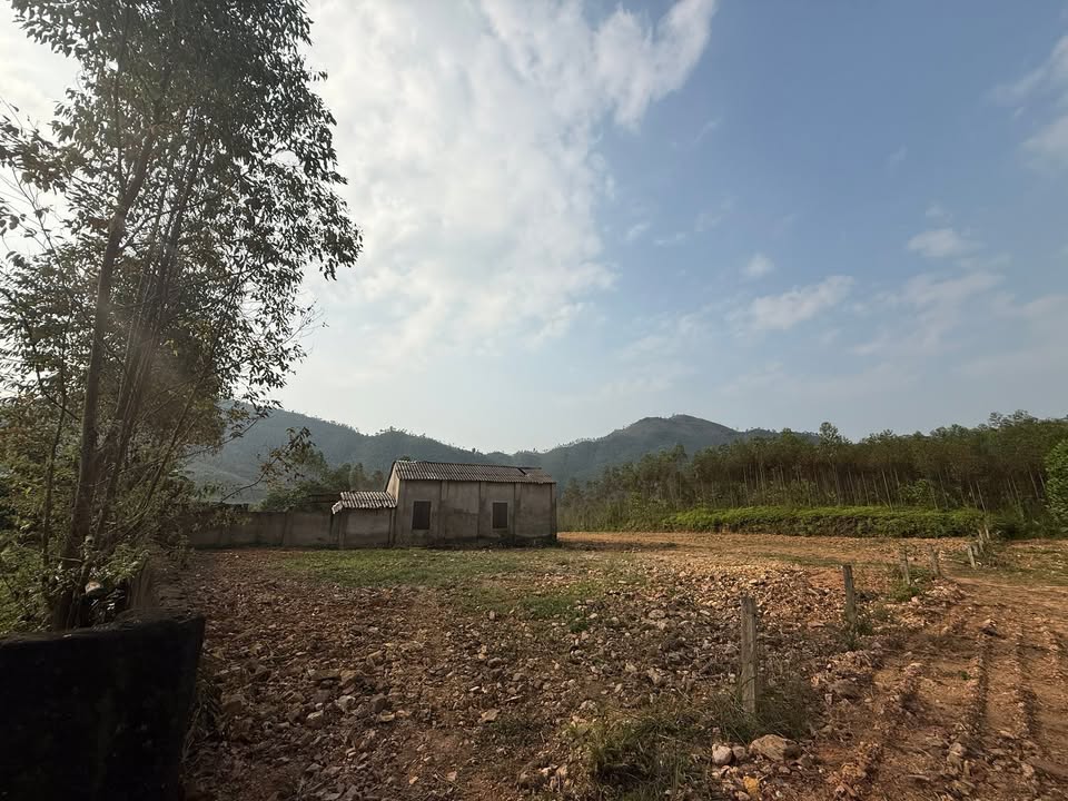 Đất Farm 2.300m² Thành Công, Phổ Yên giá thỏa thuận - Tiềm năng nghỉ dưỡng tuyệt vời!