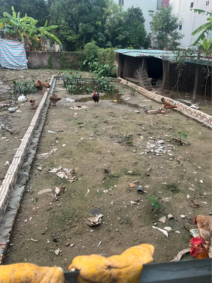 Đất Phúc Lợi Long Biên 100m² giá 7.5 tỷ - Cơ hội đầu tư tuyệt vời!