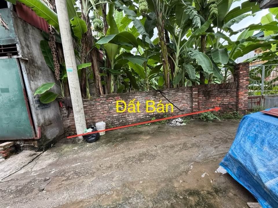 Đất nền Phú Thị, Gia Lâm 80m² giá 5.18 tỷ - Đường thông ô tô đỗ cửa!