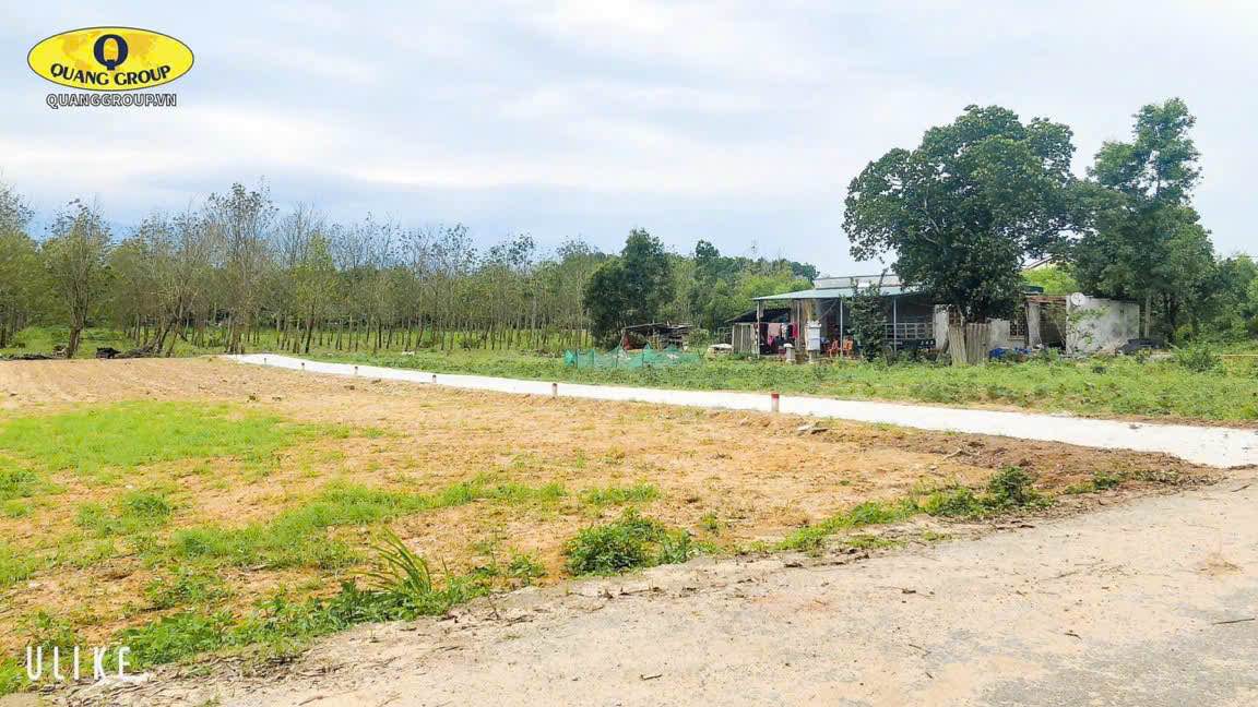 Đất nền Hòa Trạch Bố Trạch 160m² giá chỉ 2xx triệu - Cơ hội đầu tư tuyệt vời!