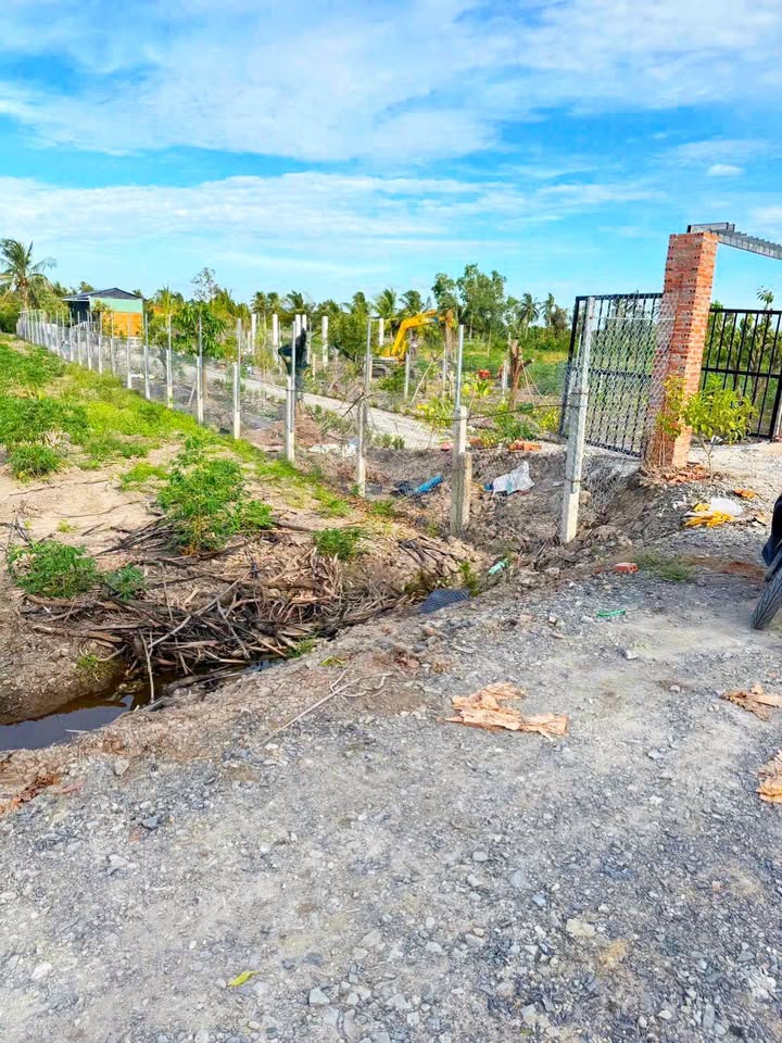 Đất vườn 500m² Bình Đức, Bến Lức, Long An - Mặt tiền kênh thoáng mát giá 650 triệu!