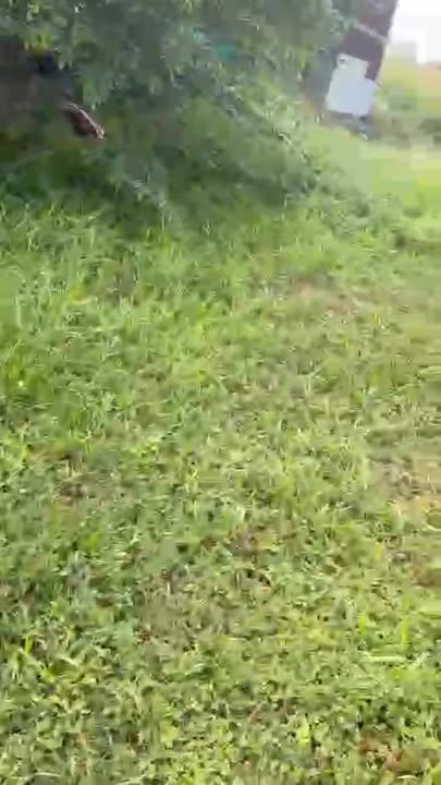 Đất mặt tiền đường ĐT 824, Mỹ Hạnh Nam, 900m² giá 20 tỷ - Vị trí sầm uất, thuận lợi kinh doanh!