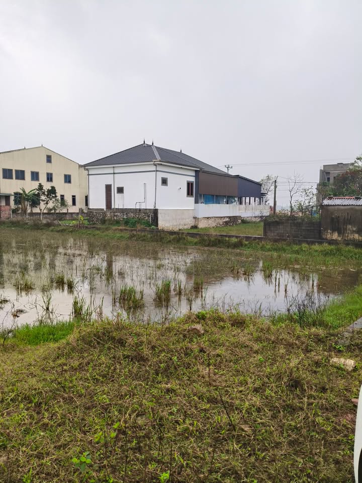 Đất quy hoạch xã Cẩm Sơn 200m² giá chỉ 1 tỷ - Cơ hội đầu tư hấp dẫn!