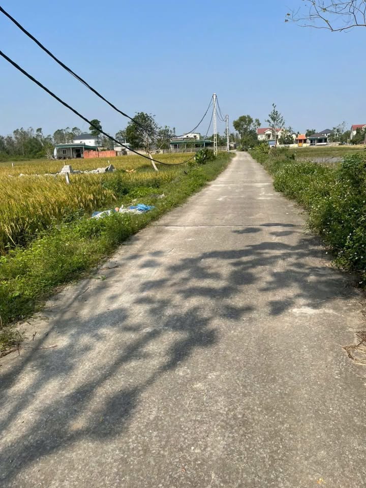 Đất thổ cư Nghi Phong 220m² giá 3.036 tỷ - Cơ hội đầu tư tuyệt vời!