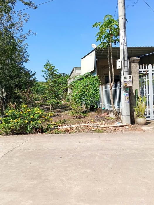 Đất nền Tân Hiệp Hóc Môn 100m² giá 495 triệu - Đầu tư sinh lời ngay!