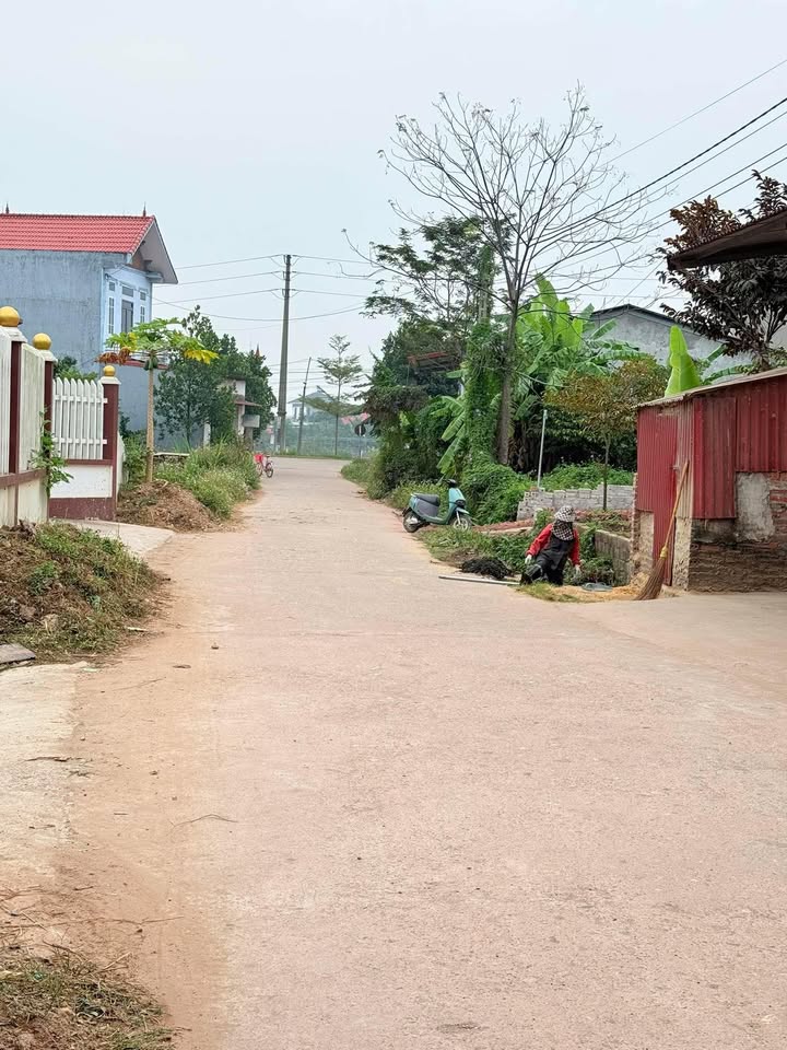 Đất thổ cư 100m² tại Thanh Ninh, Phú Bình 370m² - Đường thông ô tô tránh nhau!