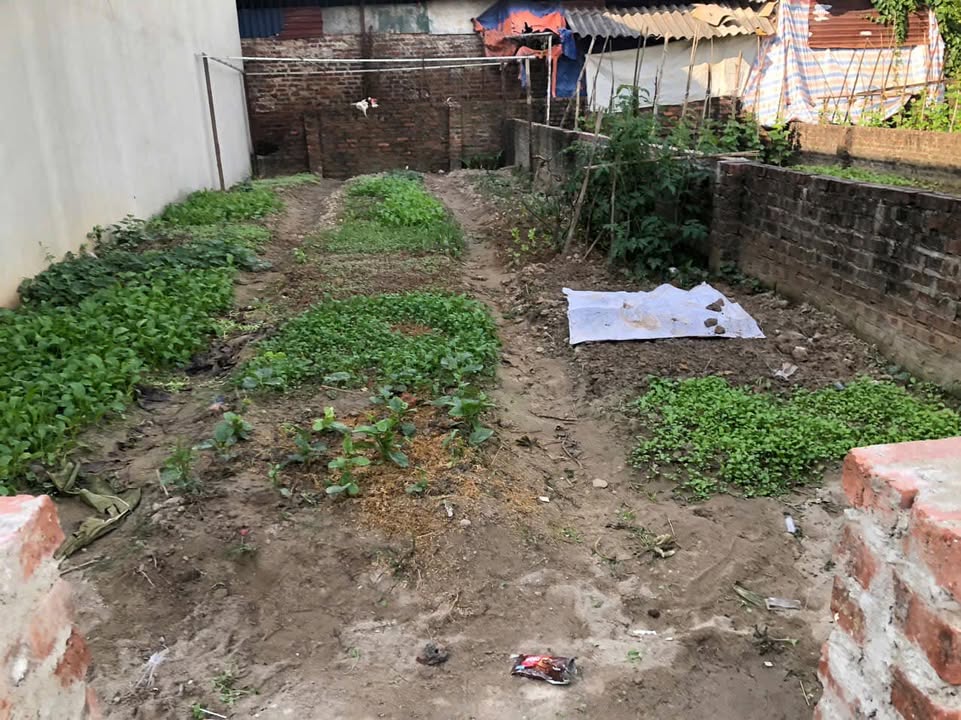 Lô đất tiềm năng 65m² tại Mai Đình, Sóc Sơn - Chỉ 3 tỷ VND, đường 2 ô tô tránh!