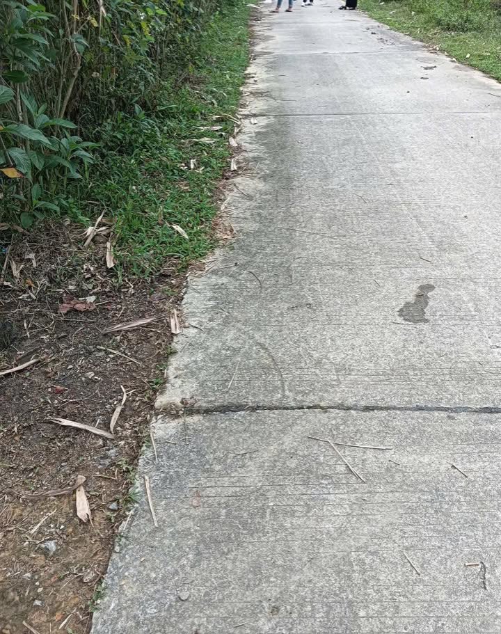 Bán đất xóm Mè, xã Tu Lý, Đà Bắc 200m² giá 300 triệu - Cơ hội đầu tư tuyệt vời!