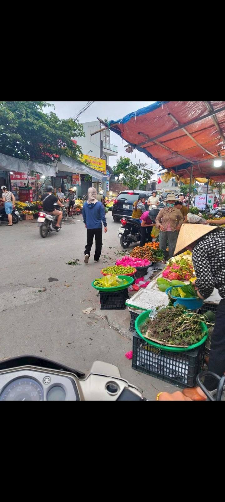 Đất mặt đường tỉnh lộ 306, Thái Sơn, An Lão 200m² giá 2 tỷ - Đầu tư sinh lời nhanh!